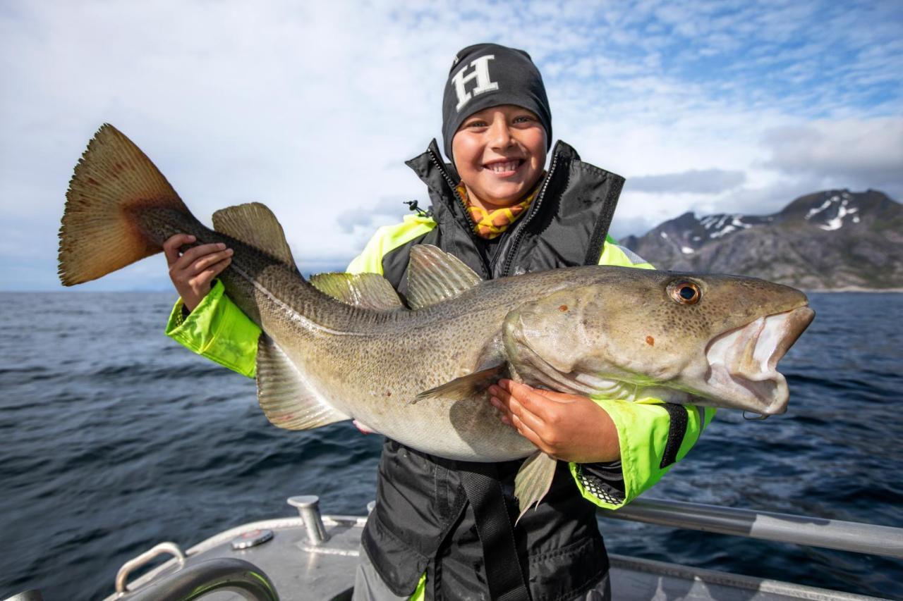 Lofoten Rorbu Lodge Offersoya Εξωτερικό φωτογραφία